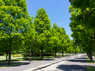 舎人緑道公園